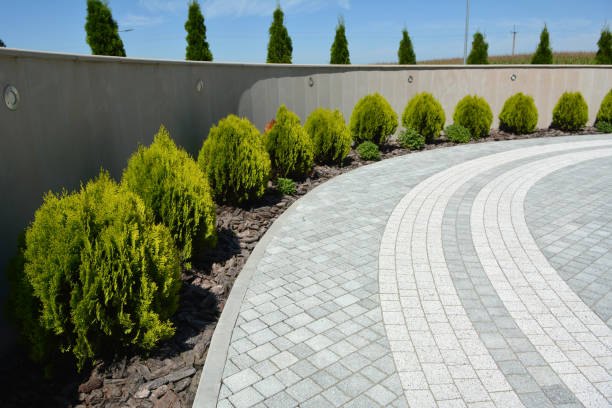 Best Driveway Pavers Contractor  in Potomac, MD